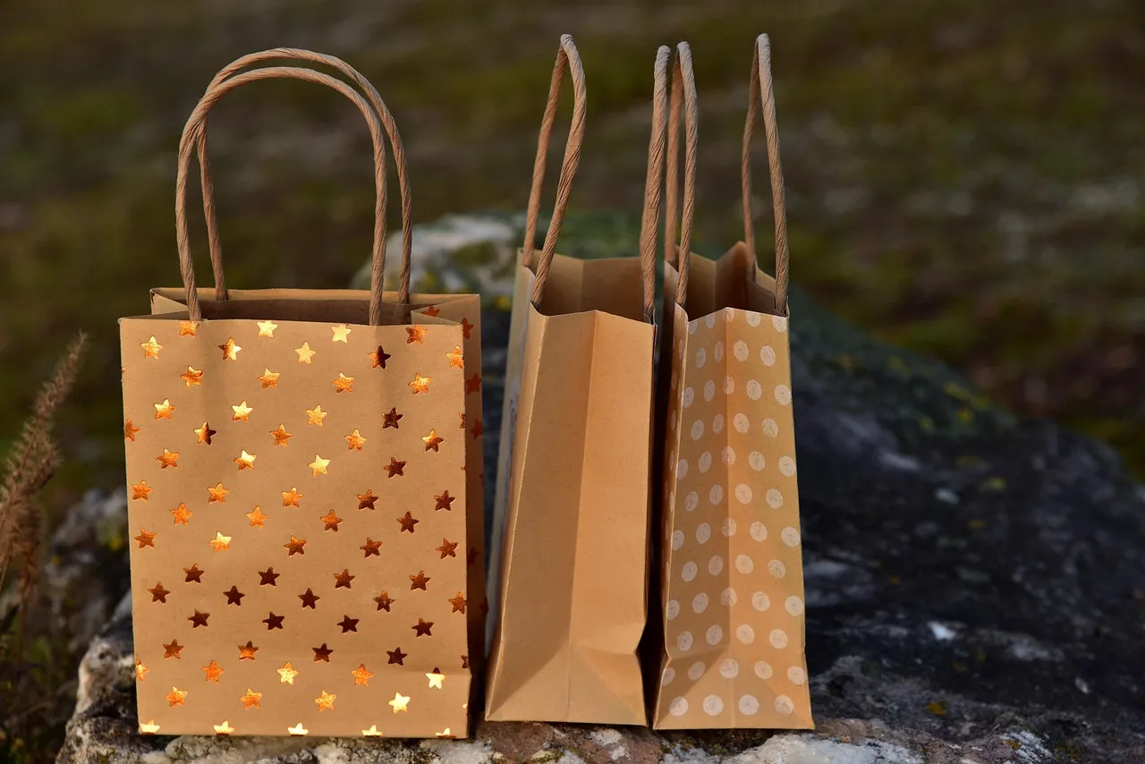 shopping-bags3